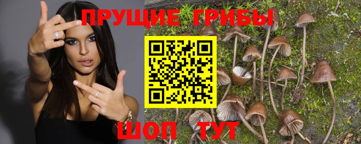Псилоцибиновые грибы мухоморы Сызрань